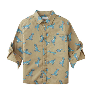 Рубашка с длинным рукавом Gingersnaps "Vlad Rex Rave", хаки